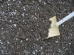 Roadbase Gold Coast Gravel Supplies