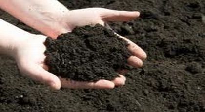 premium garden soil gold coast