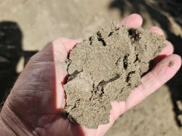 USGA Sand Gold Coast Suppliers