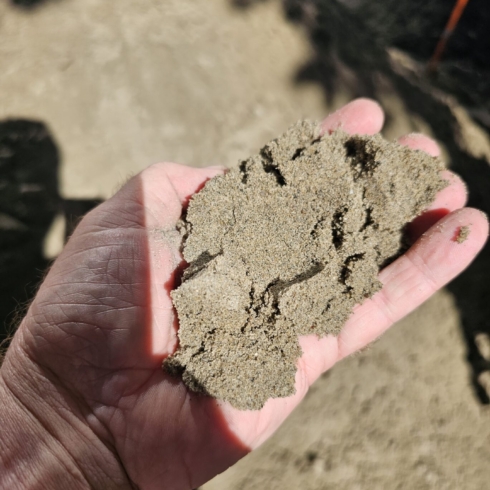 USGA Sand Gold Coast Suppliers