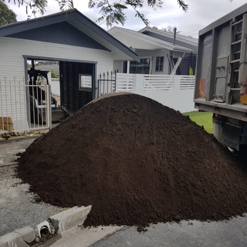 Sandy loam Soil
