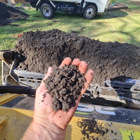 Top quality sandy loam Soil